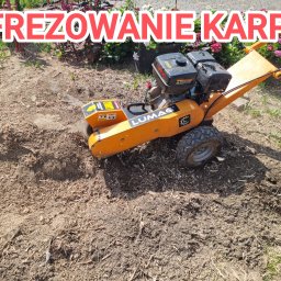 Wycinka drzew Warszawa 3