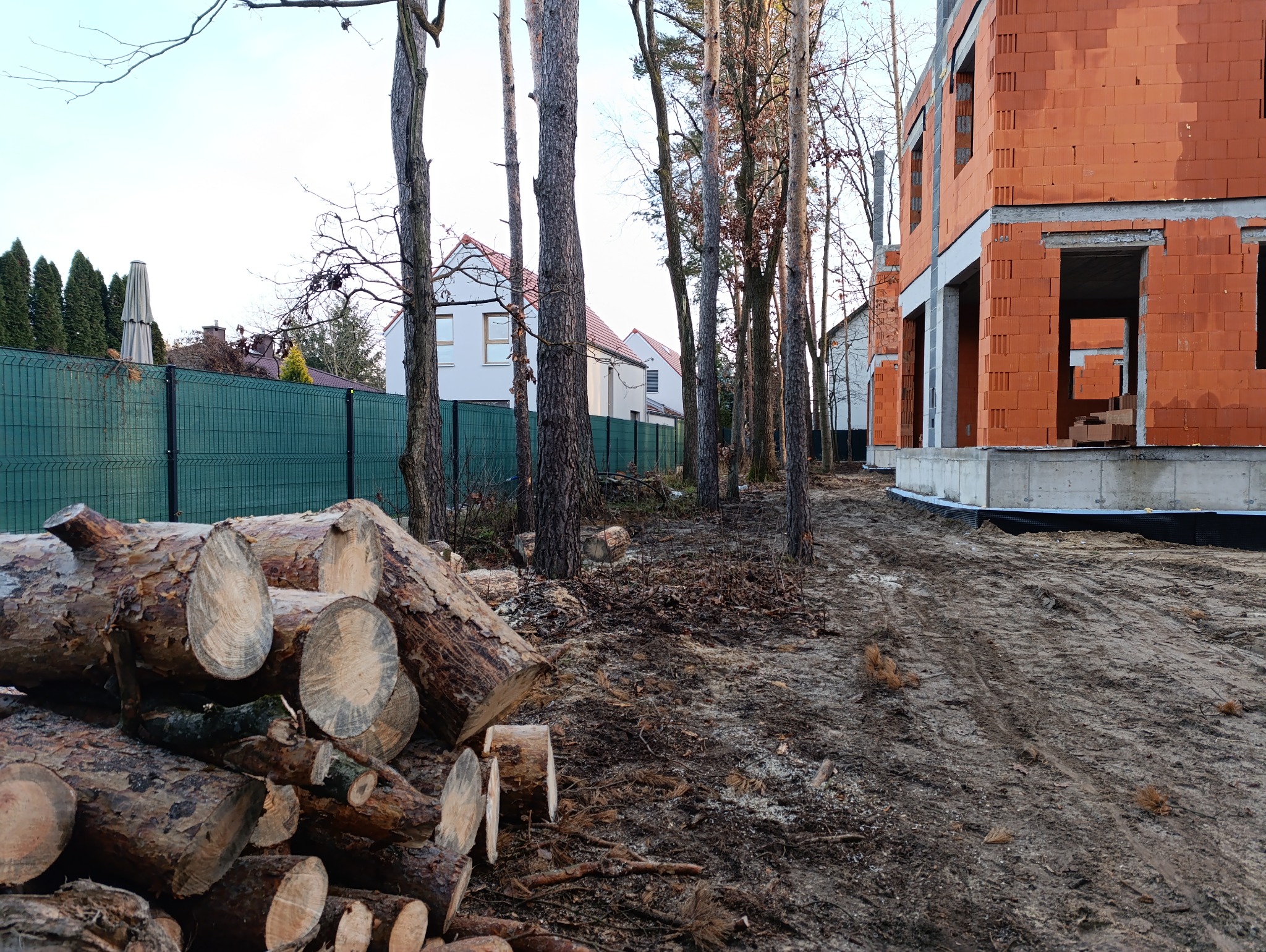 Stos pociętych kłód drewna na ziemi, w tle budynek w stanie surowym i drzewa
