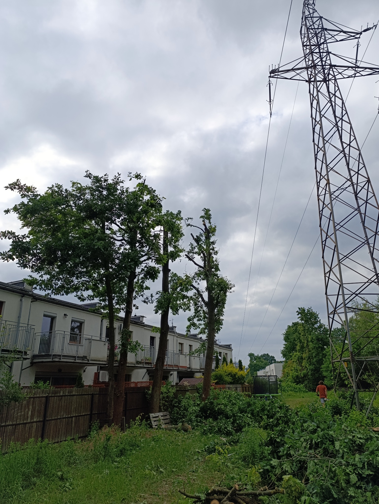 Przycięte drzewa przed budynkiem mieszkalnym, z widocznymi gałęziami na ziemi i słupem wysokiego napięcia w tle, pochmurne niebo.