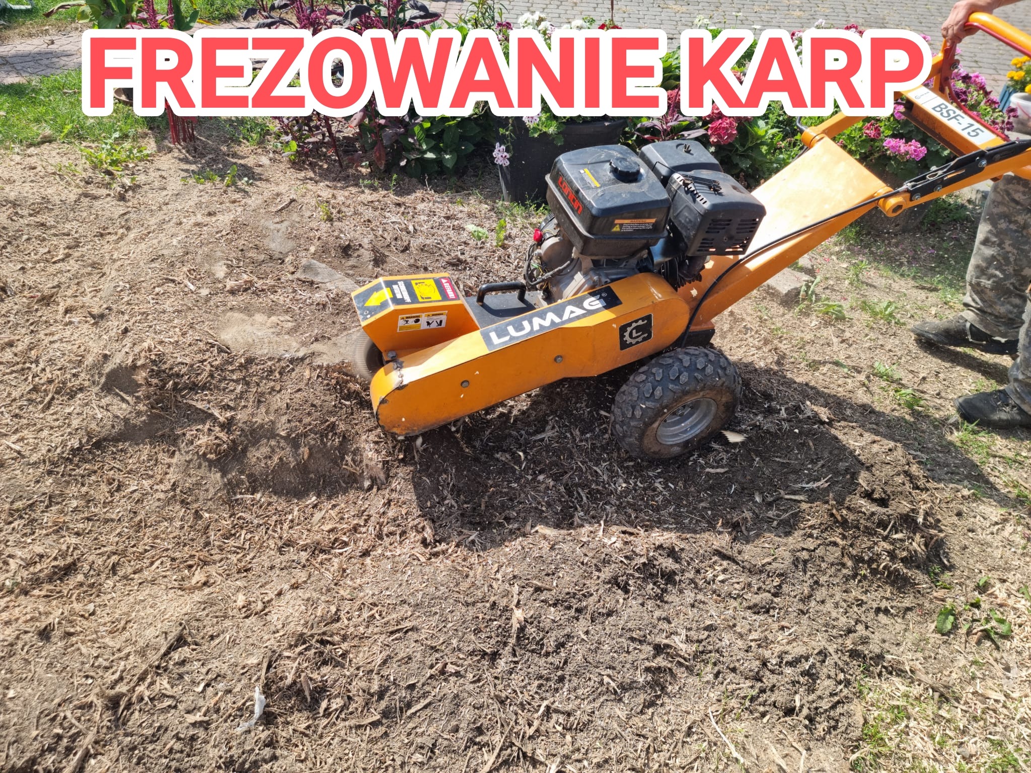 Frezarka do pni Lumag BSF-15 w trakcie pracy, widoczne świeże wióry i fragment operatora w kamuflażu. Frezowanie karp w ogrodzie.