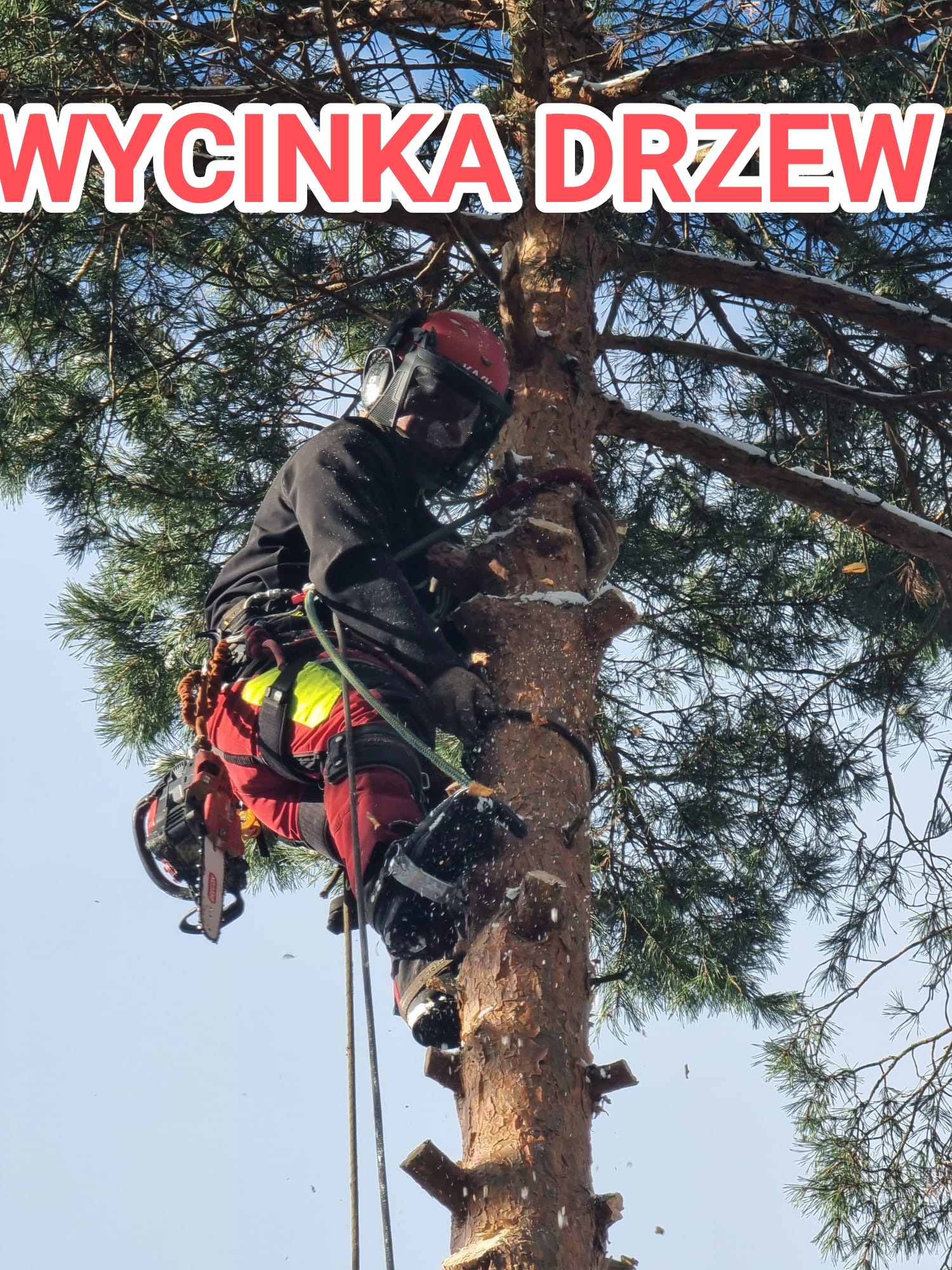 Arborysta w kasku i z piłą łańcuchową, w trakcie pracy na drzewie. Wokół latają wióry. Na górze zdjęcia napis 'Wycinka drzew'.