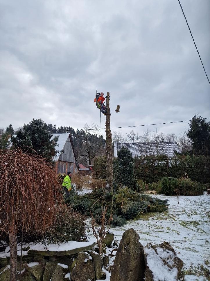 Arborysta zabezpieczony linami tnie pień drzewa na wysokości, drugi pracownik w jaskrawej kurtce zbiera gałęzie na ośnieżonym terenie.