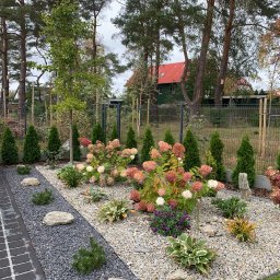 Zakładanie ogrodów Zbychowo 4