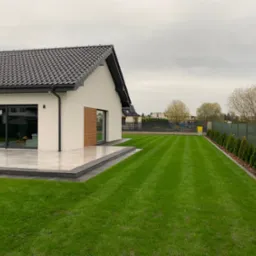 Świeżo skoszony trawnik z regularnymi pasami obok nowoczesnego domu z tarasem wyłożonym jasnymi płytami i rzędem małych tuj wzdłuż ogrodzenia.