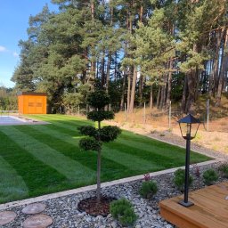 GARDEMO Projektowanie i zakładanie terenów zielonych Marcin Olszak - Starannie utrzymany ogród z równo przystrzyżonym trawnikiem w pasy, ozdobnym drzewkiem bonsai, drewnianym domkiem narzędziowym w tle i lampą ogrodową przy drewnianym podeście, otoczony wysokimi...