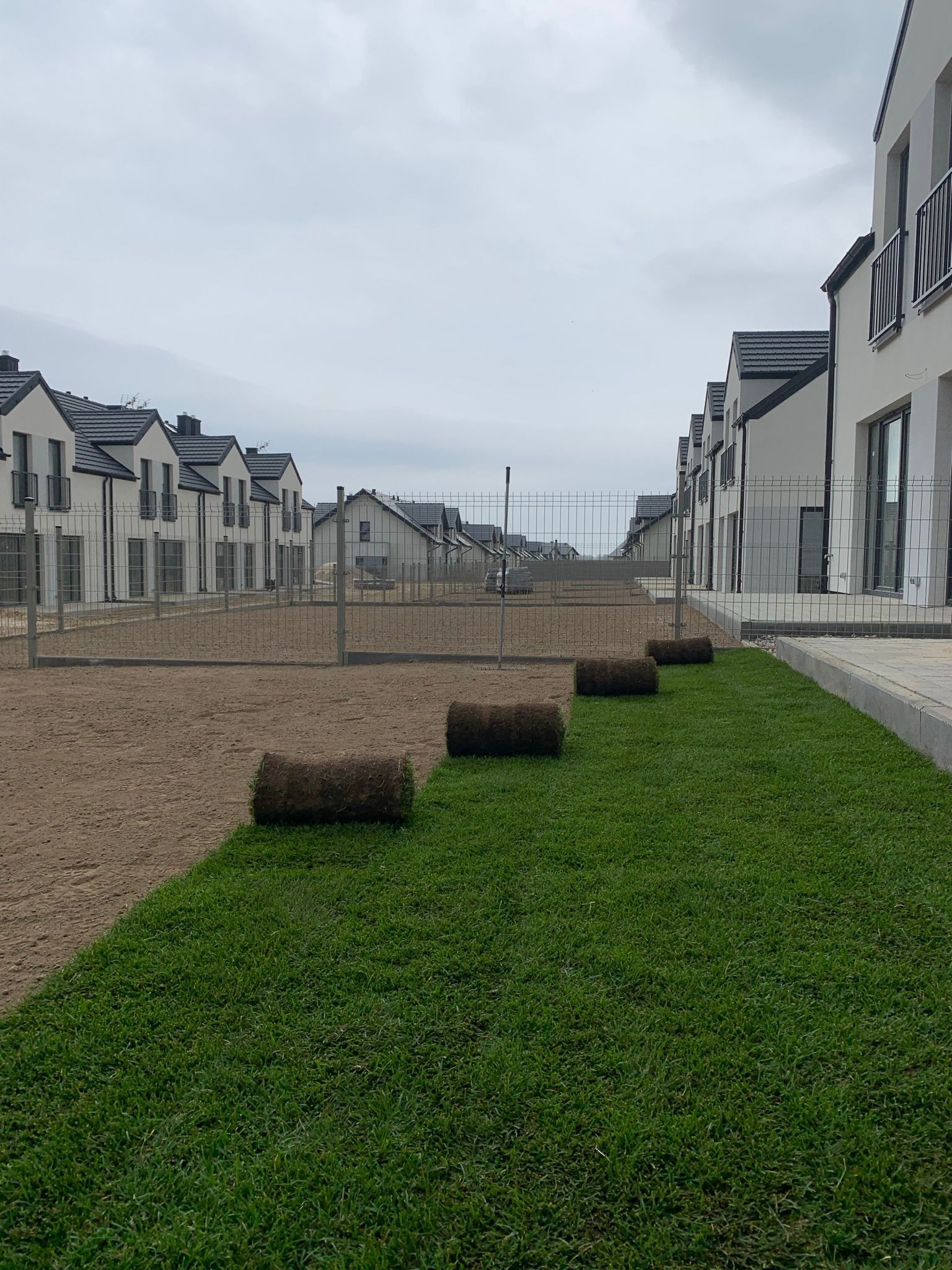 Rozwinięta trawa z rolki na przygotowanym podłożu, widoczne kolejne rolki trawy, w tle szereg identycznych domów jednorodzinnych oddzielonych płotem.