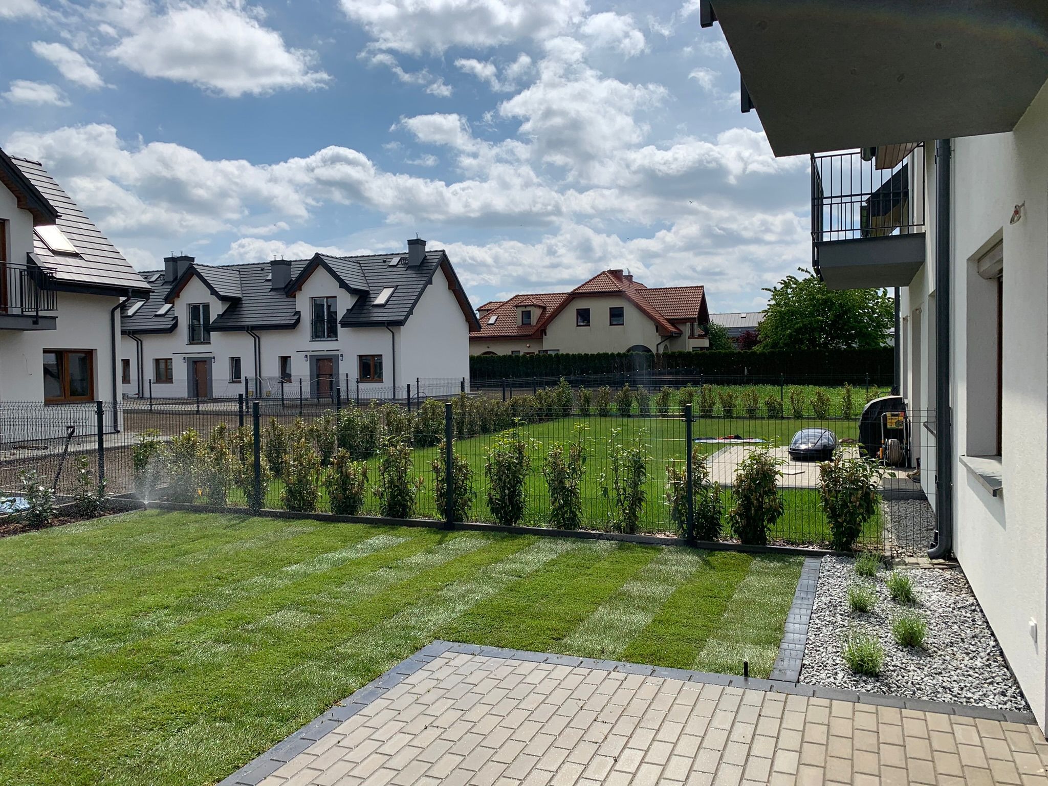 Nowo założony trawnik z rolki z systemem nawadniania zraszaczy, widoczne pasy po koszeniu, obrzeże z kostki brukowej, w tle rząd nowo posadzonych krzewów oddzielający posesję od sąsiednich domów.