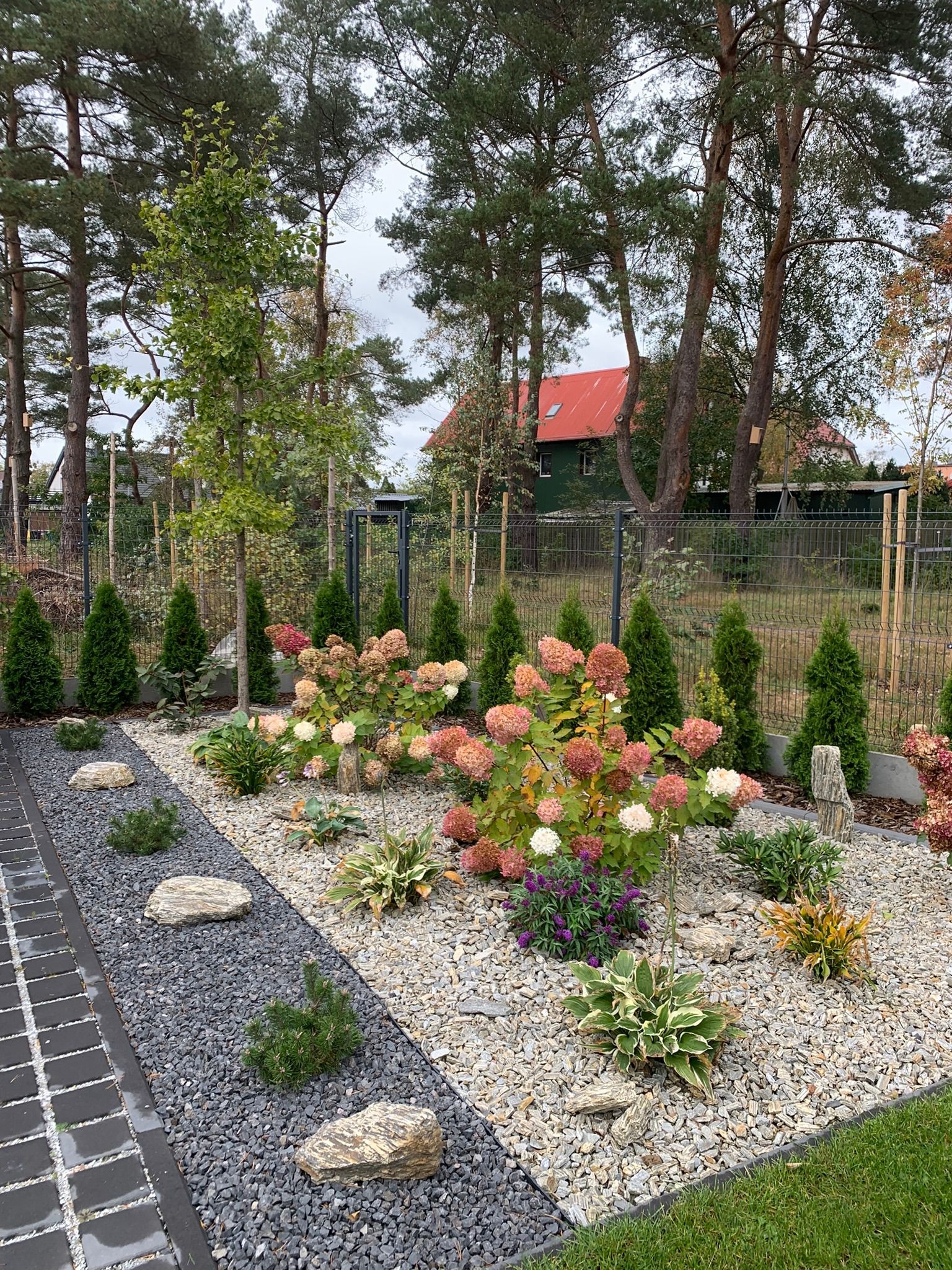 Kwitnące hortensje w odcieniach różu i bieli, otoczone kamieniami i niskimi iglakami, tworzą rabatę w ogrodzie z metalową siatką i zielonym domem w tle.