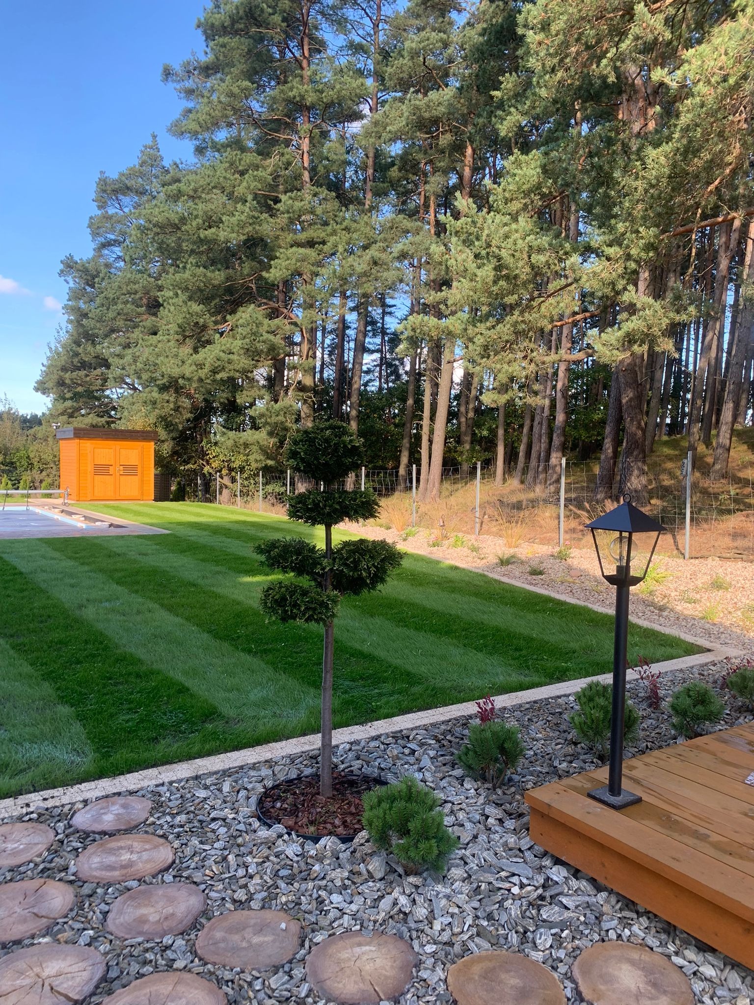 Starannie utrzymany ogród z równo przystrzyżonym trawnikiem w pasy, ozdobnym drzewkiem bonsai, drewnianym domkiem narzędziowym w tle i lampą ogrodową przy drewnianym podeście, otoczony wysokimi...