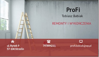 Wizytówka firmy ProFi Tobiasz Babiak oferującej remonty i wykończenia, z drabiną opartą o ścianę w tle.