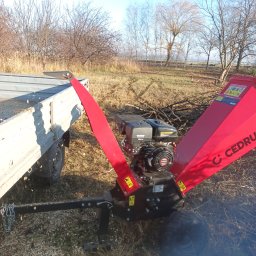 Marcin Dariusz - Czerwony rębak do gałęzi marki Cedrus podłączony do przyczepki samochodowej na tle łąki z drzewami bez liści, w otoczeniu wiórów drzewnych.