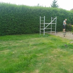 Marcin Dariusz - Mężczyzna przycina wysoki żywopłot za pomocą nożyc spalinowych, stojąc na kamiennej ścieżce, obok metalowego rusztowania na trawniku.