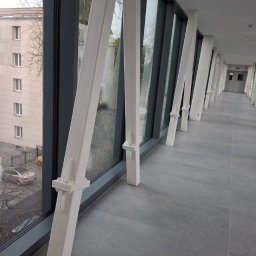 Wycinka drzew Sochaczew 1