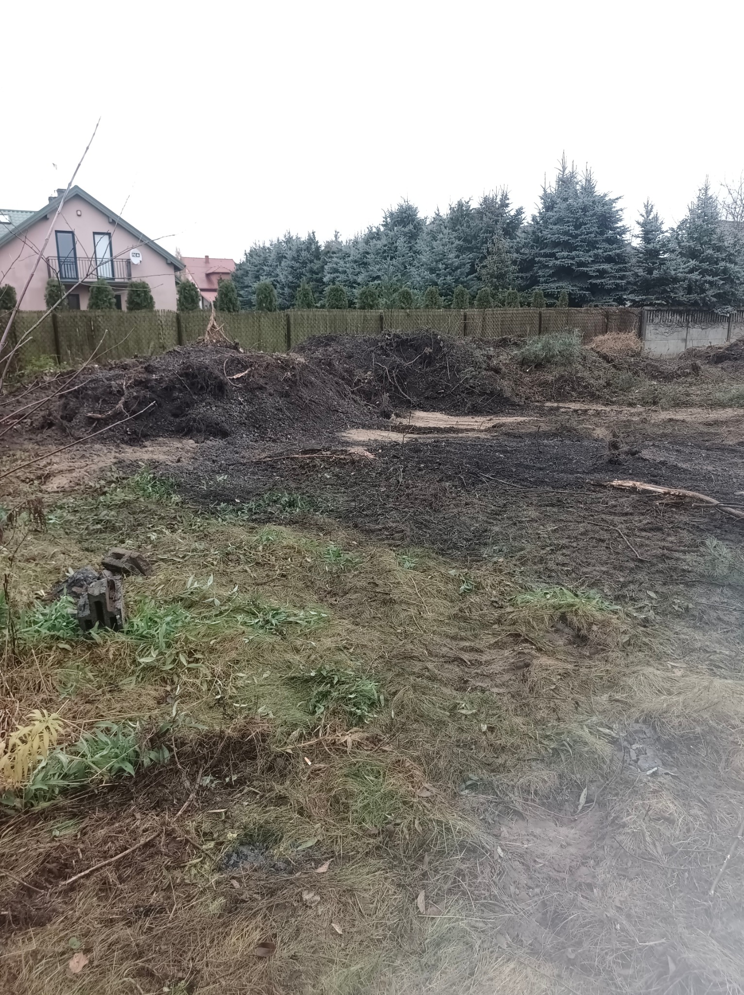 Teren po wycince drzew w Sochaczewie, widoczne pnie, gałęzie i resztki roślinności, przygotowany do dalszych prac.