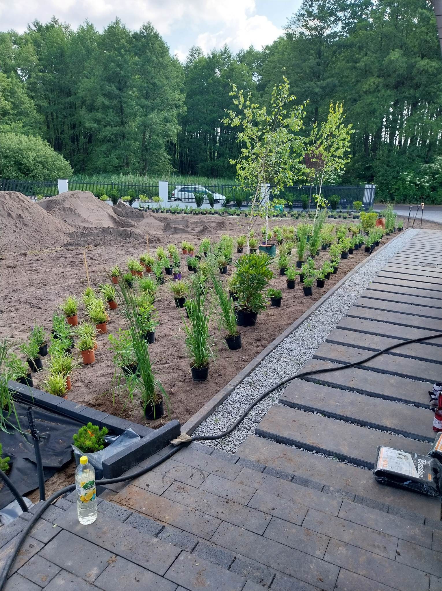 Przygotowany teren pod nasadzenia: rząd doniczkowych roślin ozdobnych i drzewek ustawionych wzdłuż nowo ułożonego chodnika z płyt betonowych, z widoczną stertą ziemi w tle.