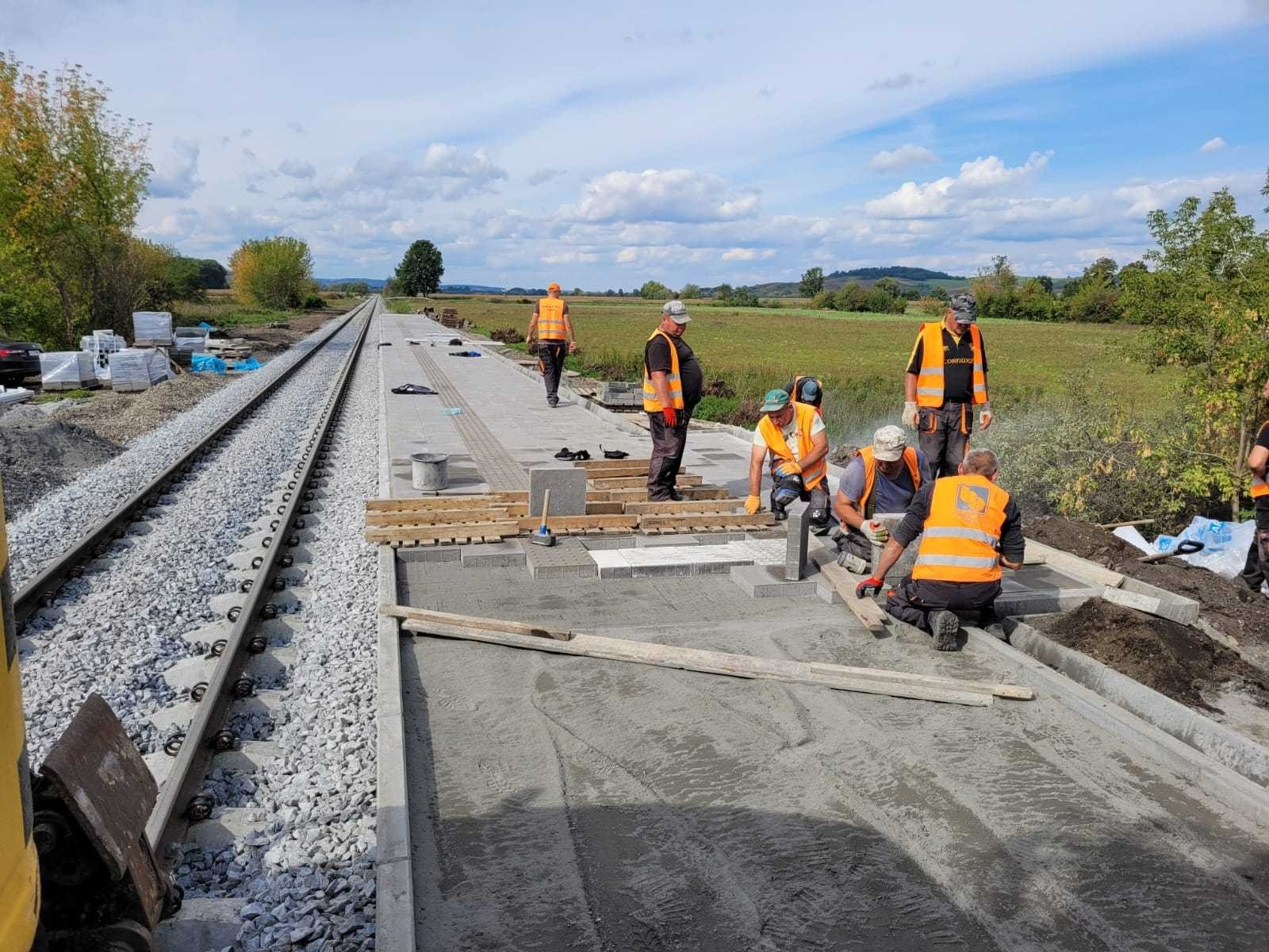 Prace brukarskie na peronie kolejowym: robotnicy w pomarańczowych kamizelkach układają szarą kostkę brukową na mokrej zaprawie, widoczne tory kolejowe i krajobraz w tle.
