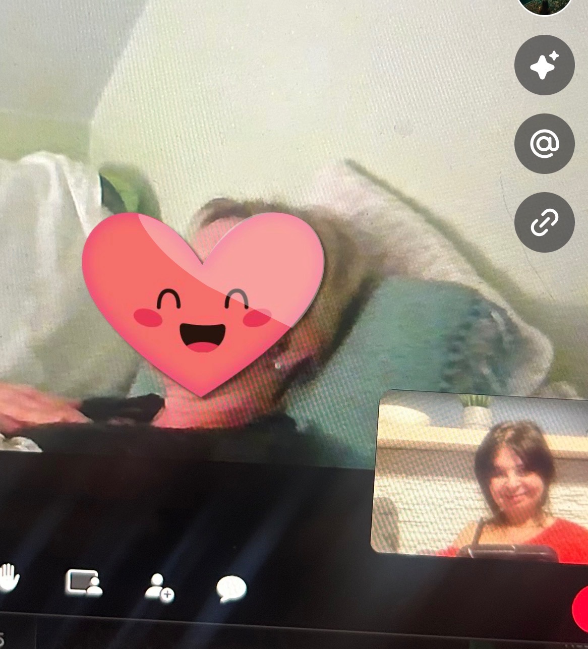 Ekran komputera z widocznym oknem wideokonferencji, twarz osoby zasłonięta emotikoną serca, w rogu widoczny podgląd drugiej osoby.