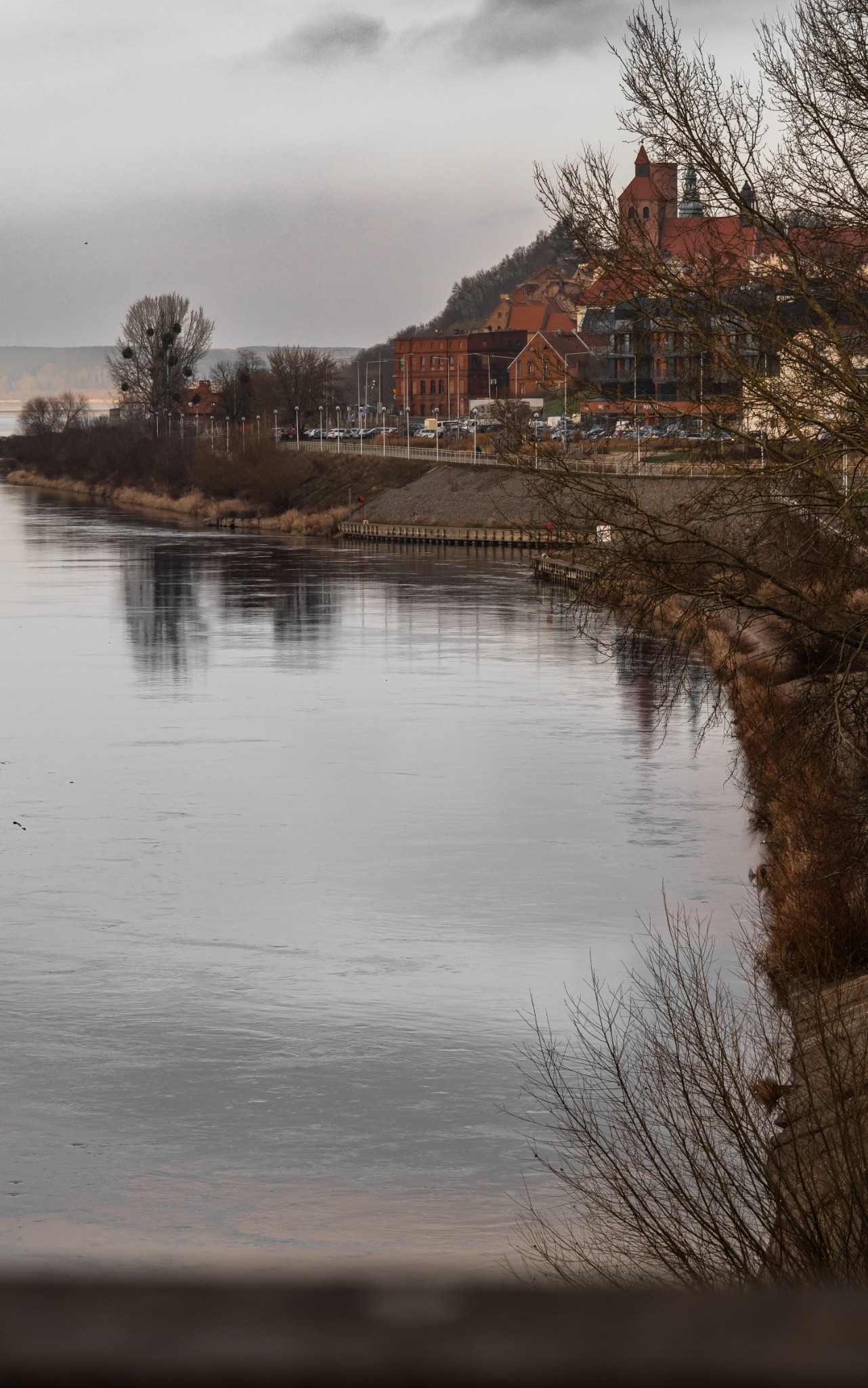 Jesienny widok na miasto z czerwonej cegły nad rzeką, odbicie budynków w wodzie, nagie gałęzie drzew na pierwszym planie, pochmurne niebo.