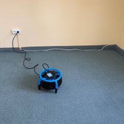 A.P. Alfa Sp. z o.o. - Niebieski wentylator osuszający dywan, podłączony do gniazdka, na tle beżowej ściany i szarej wykładziny.