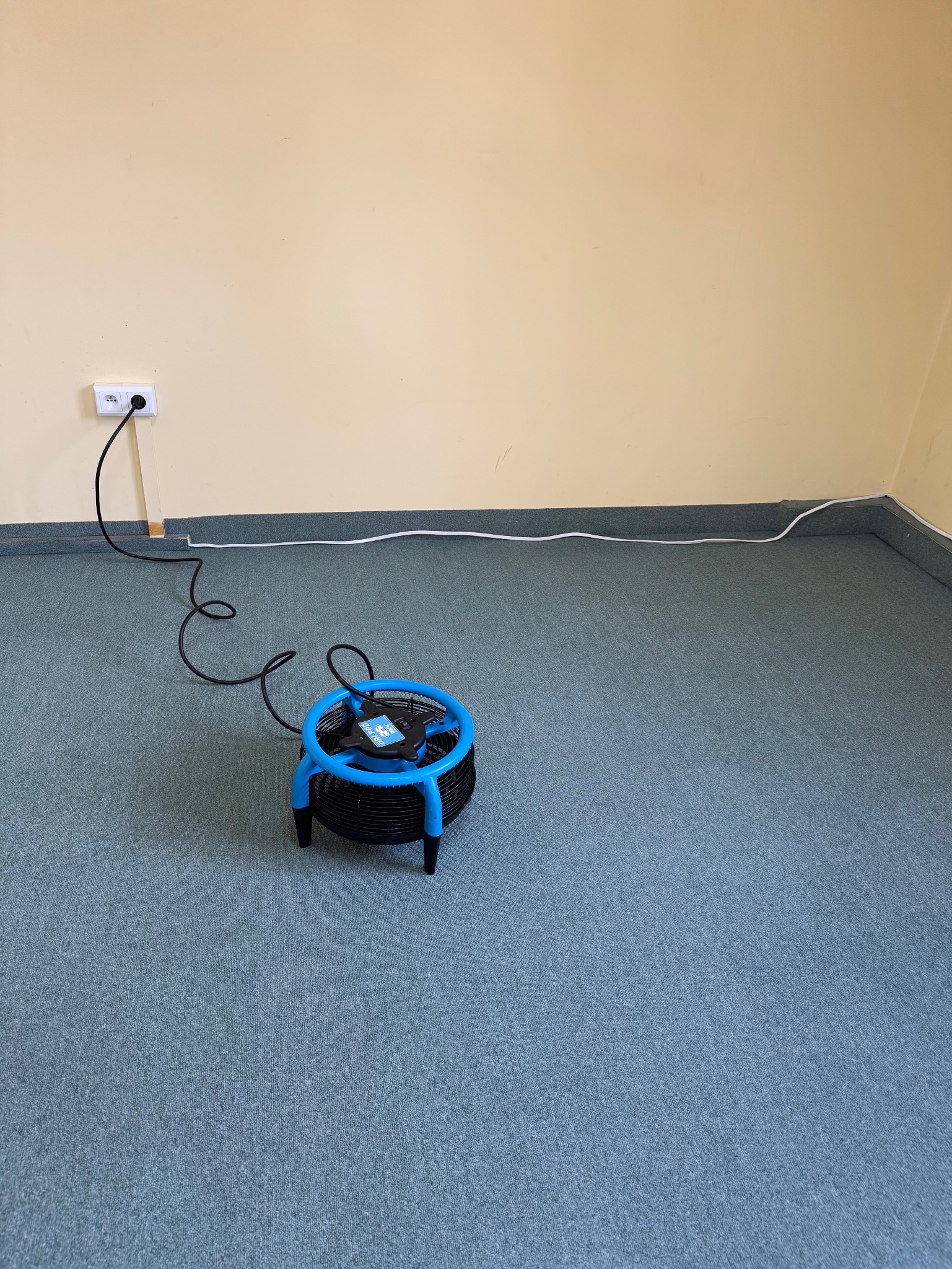 Niebieski wentylator osuszający dywan, podłączony do gniazdka, na tle beżowej ściany i szarej wykładziny.