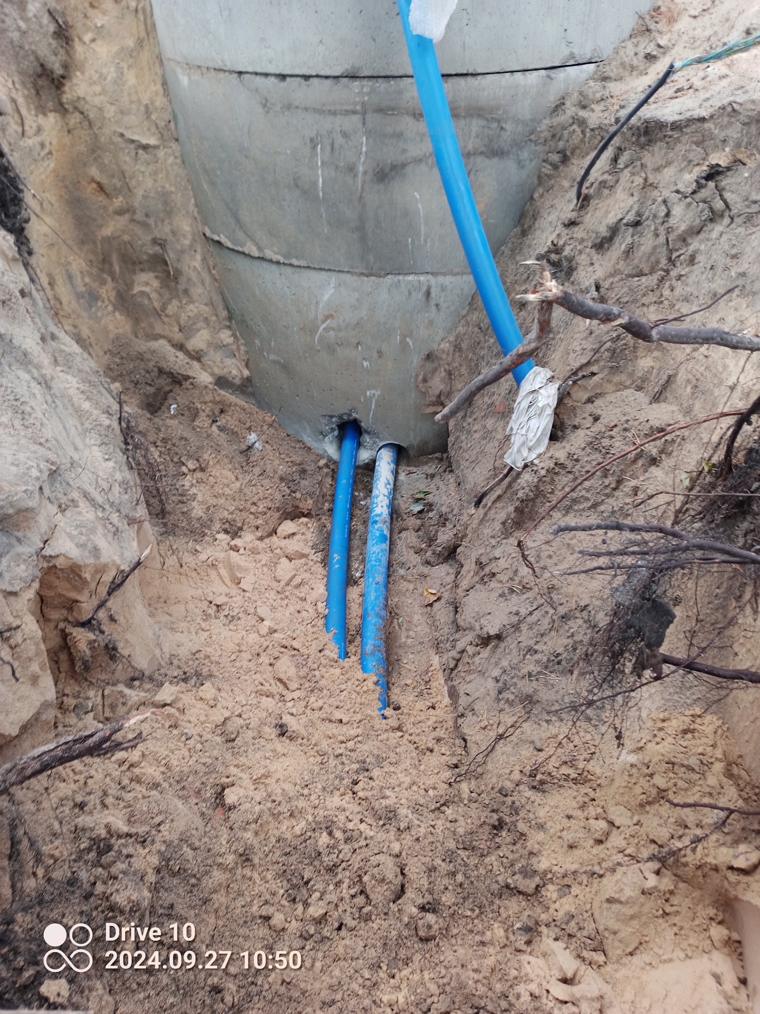 Wykop z betonową studnią kanalizacyjną i wystającymi niebieskimi rurami, widoczne korzenie drzew w ziemi.