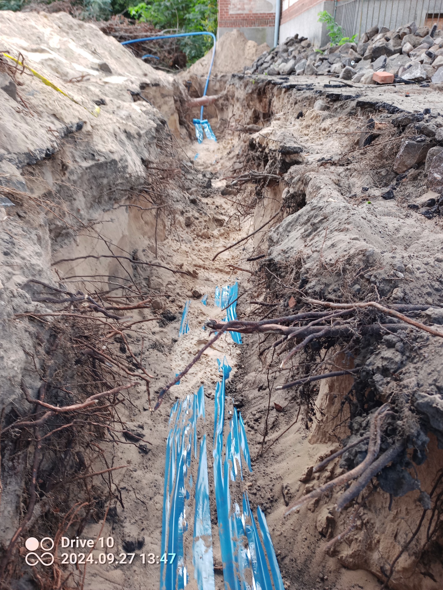 Wykop w ziemi z ułożonymi niebieskimi rurami, widoczne korzenie i piasek, na górze kamienie i fragment budynku.