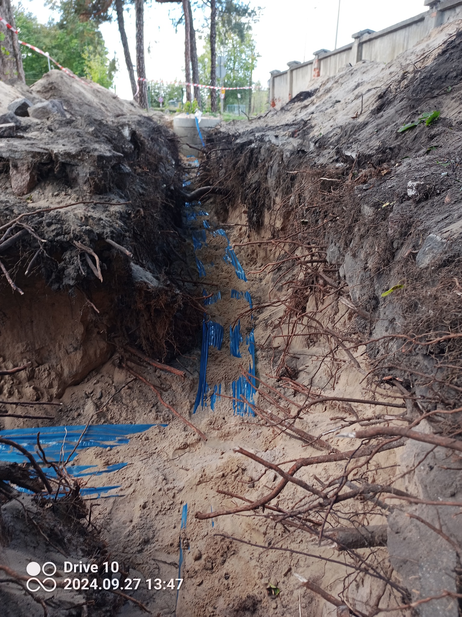 Wykop z widocznymi niebieskimi rurami w osłonie, wystające korzenie drzew, przygotowanie do zakopania instalacji.