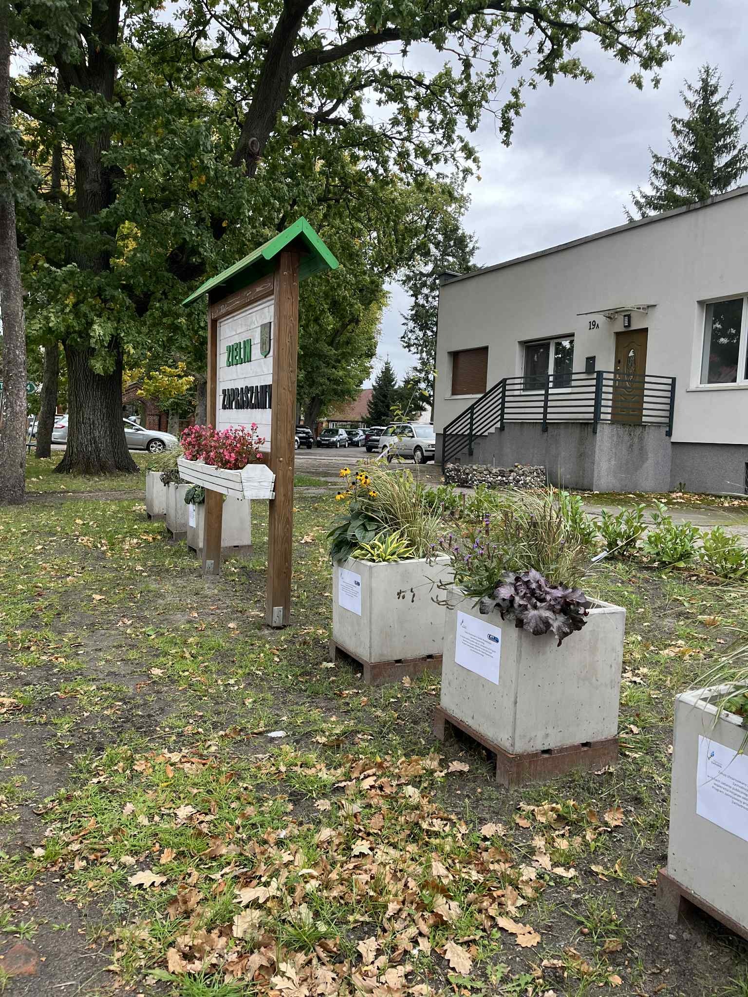 Betonowe donice z roślinami przed budynkiem z numerem 19A, jesienne liście na ziemi, tablica informacyjna w tle, pochmurne niebo.