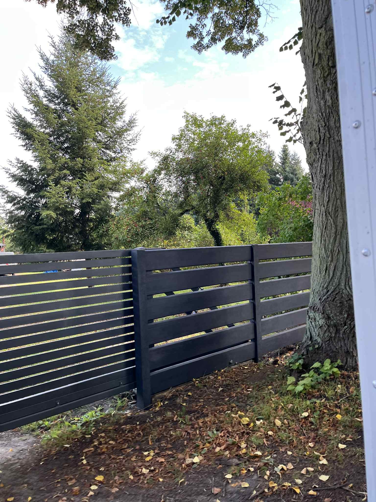 Nowoczesne, poziome ogrodzenie z ciemnego drewna, przylegające do pnia drzewa. W tle zieleń drzew i krzewów, błękitne niebo. Ujęcie z bliska, z boku.