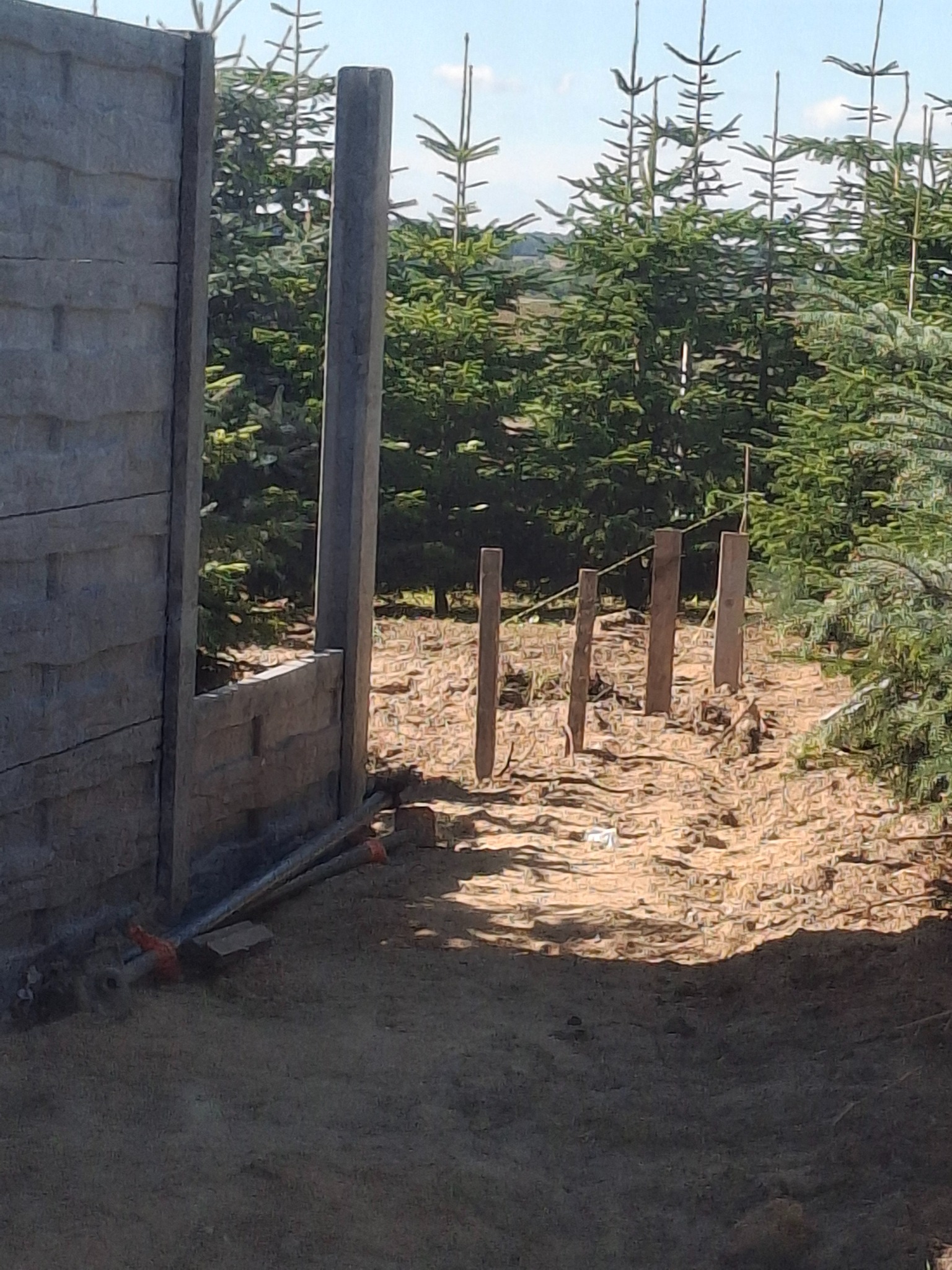 Montaż ogrodzenia betonowego: fragment konstrukcji z widocznymi słupkami i panelami, w tle drzewa iglaste i przygotowany teren pod dalszą budowę.