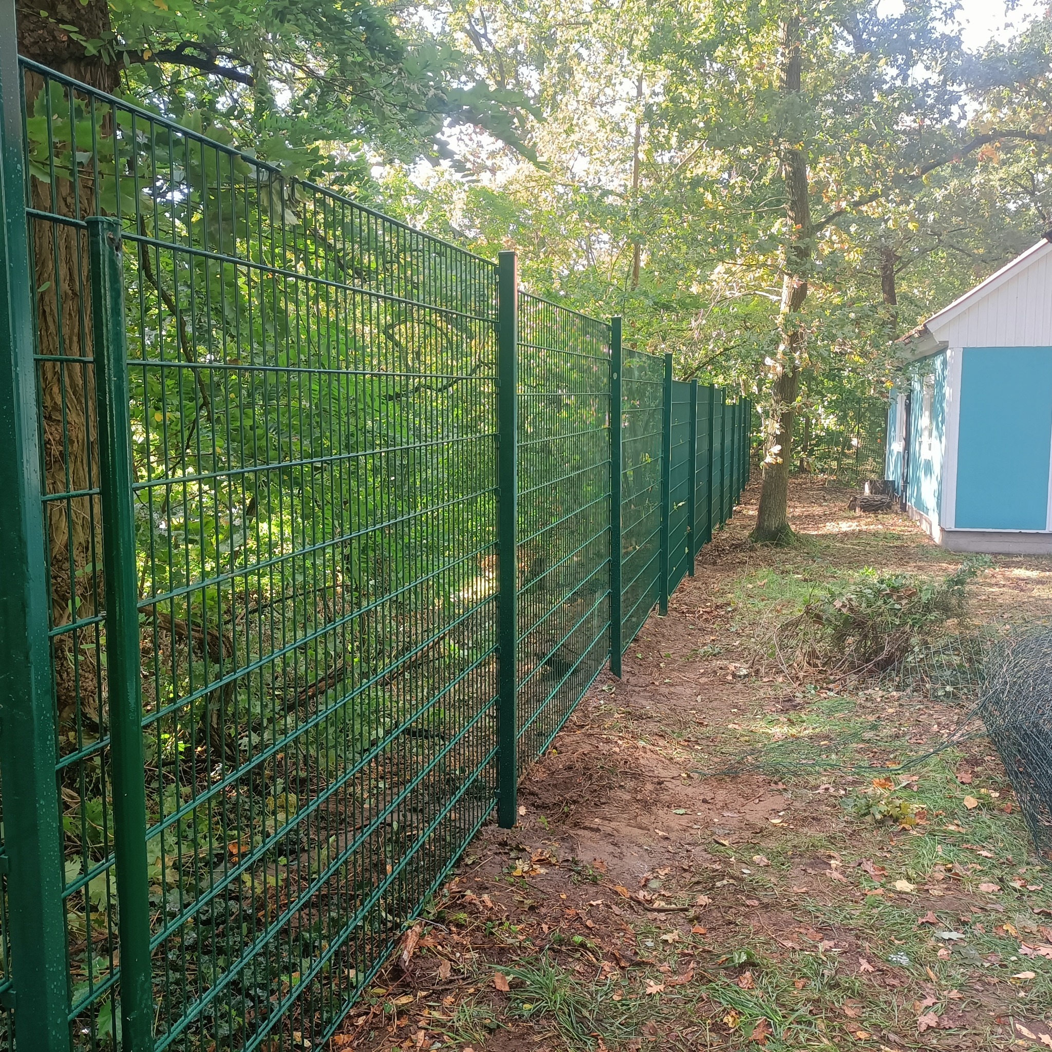 Długi, zielony płot panelowy z podwójnego drutu, zamontowany na zewnątrz wzdłuż zalesionego terenu w pobliżu niebieskiego budynku.