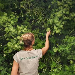 Rośliny i podłoża Wrocław 1