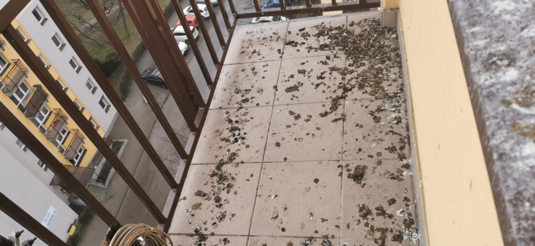 Zanieczyszczony ptasimi odchodami balkon z brązową balustradą, widok z góry na beżowe płytki. W tle budynki mieszkalne i zaparkowane samochody.