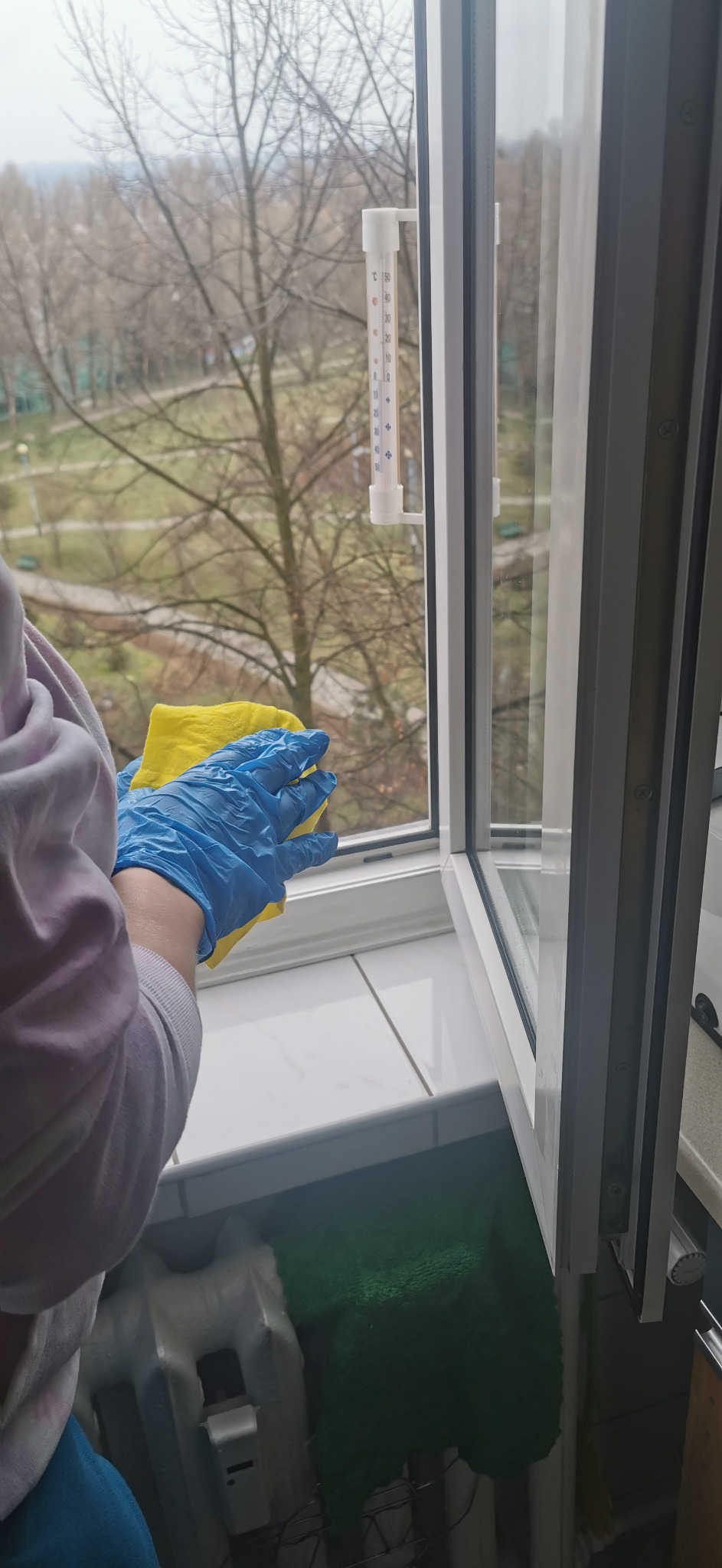 Otwarty plastikowy okno z termometrem czyszczone żółtą ścierką przez osobę w niebieskich rękawiczkach, widok na drzewa bez liści za oknem.