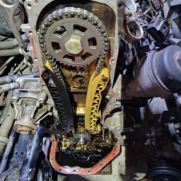 A.I.L Serwis - Otwarty silnik samochodowy z widocznym łańcuchem rozrządu, kołem zębatym i napinaczami łańcucha, zalany olejem.