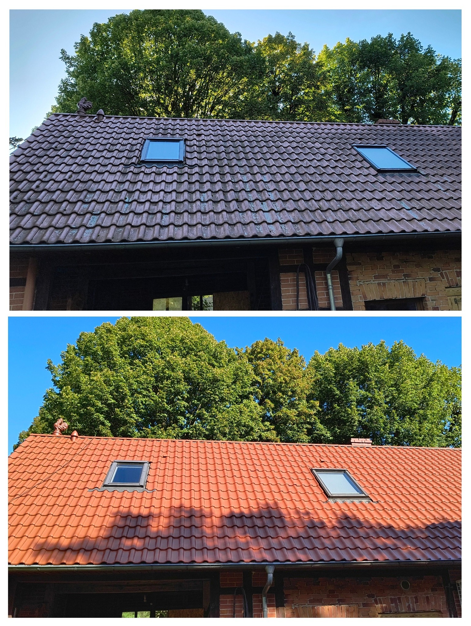 Porównanie dachu przed i po czyszczeniu: Brudna, ciemna dachówka kontra czysta, jaskrawoczerwona dachówka z oknami dachowymi na tle zielonych drzew.