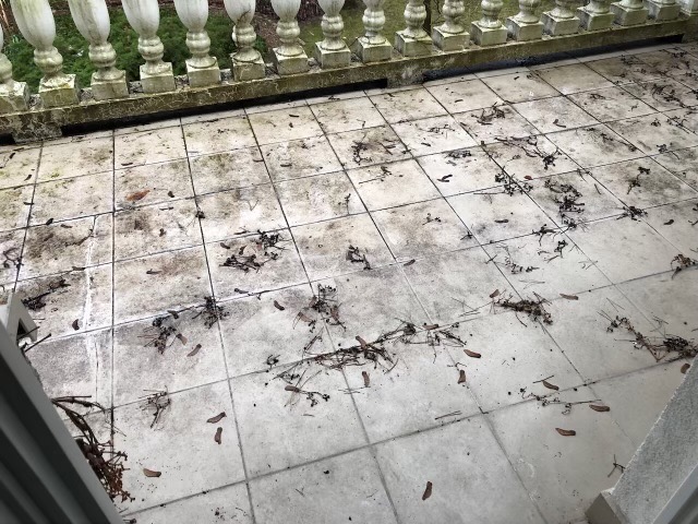 Balkon z białymi płytkami podłogowymi pokrytymi liśćmi i gałązkami, widok z góry na balustradę z kamiennymi tralkami.