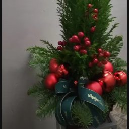 Catmat - Sprzątanie Domu Ł&oacute;dź