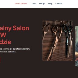 MDS SOFTWARE SOLUTIONS GROUP SPÓŁKA Z OGRANICZONĄ ODPOWIEDZIALNOŚCIĄ - Strona internetowa salonu fryzjerskiego