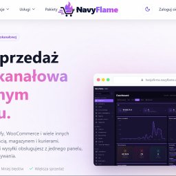 Programista Opole 3