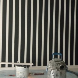 Andrzej Ż. - Renowacja Elewacji Bydgoszcz