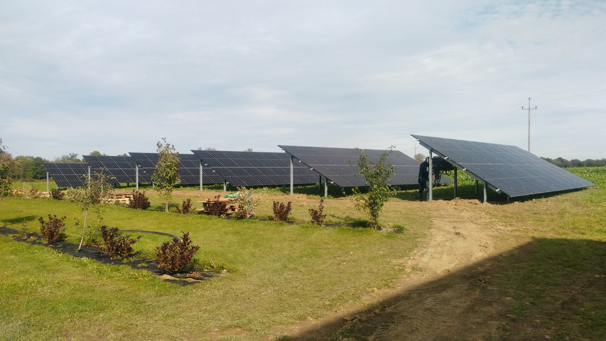 Rząd paneli słonecznych ustawionych na zielonej łące, widoczny pracownik w ciemnym ubraniu przy jednym z paneli, w tle drzewa i słup energetyczny.