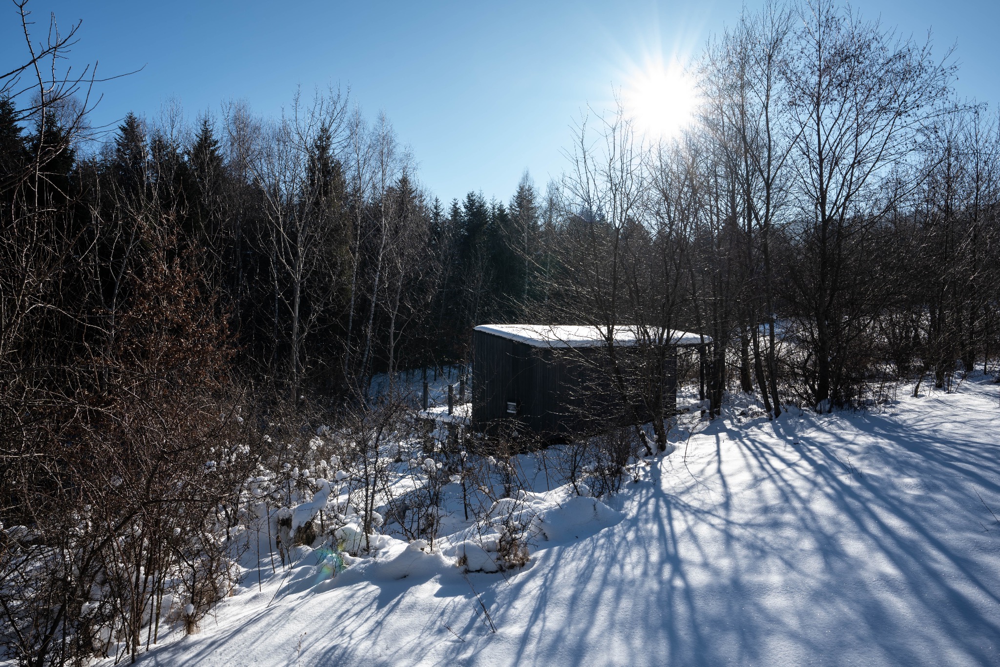 Mała, ciemna drewniana budowla w zimowym krajobrazie Bieszczad, otoczona śniegiem i drzewami bez liści, oświetlona jasnym słońcem.