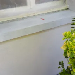 Świeżo pomalowana, biała elewacja z zabezpieczonym oknem folią malarską i taśmą, widoczne zielone krzewy w tle.