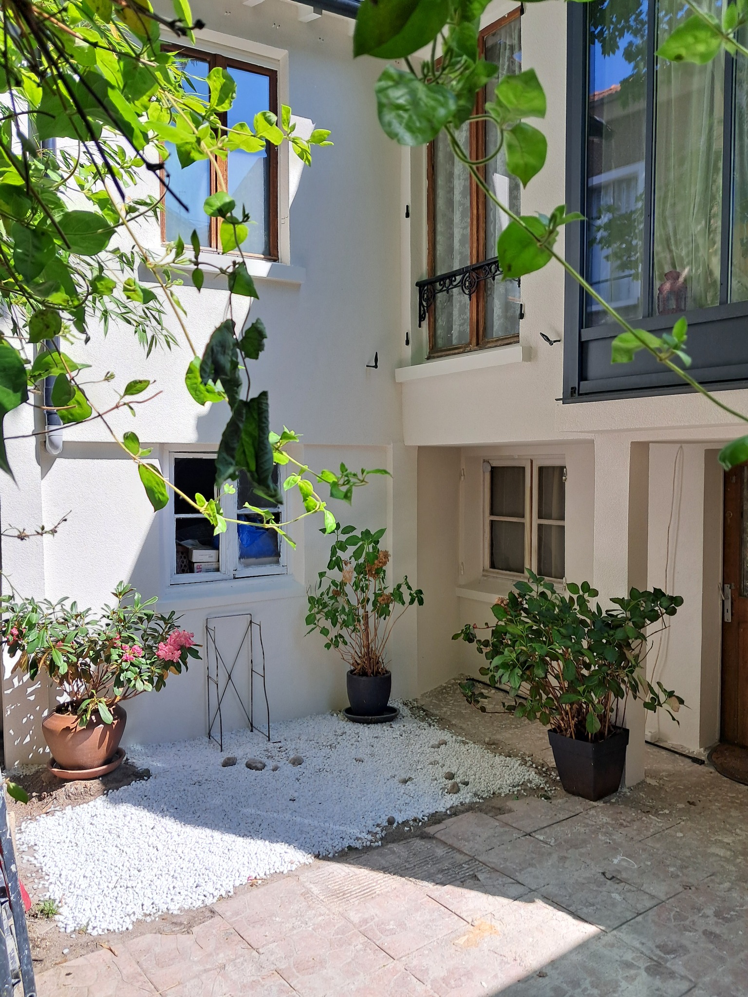 Dziedziniec z białymi kamykami i roślinami w donicach, otoczony jasną elewacją budynku z oknami o różnych rozmiarach i ramach, częściowo przysłonięty zielenią.