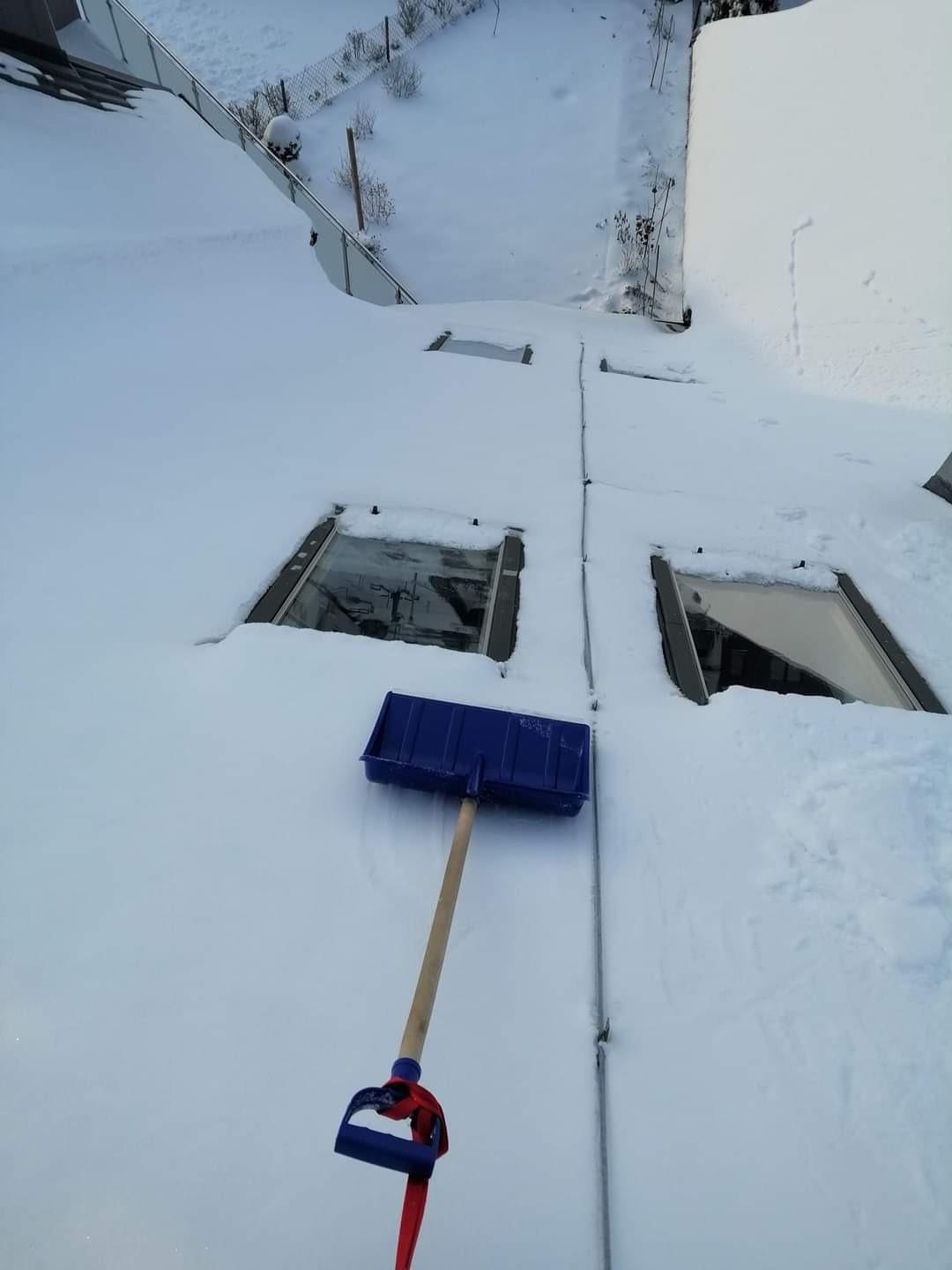 Niebieska łopata do śniegu leży na dachu pokrytym grubą warstwą śniegu, widoczne okna dachowe i fragment ogrodu w tle.