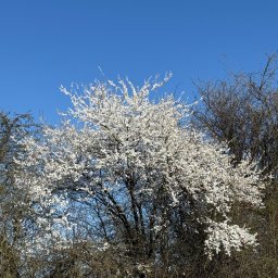Patrycja Deuter - Pomoc w Pracach Domowych Zabrze
