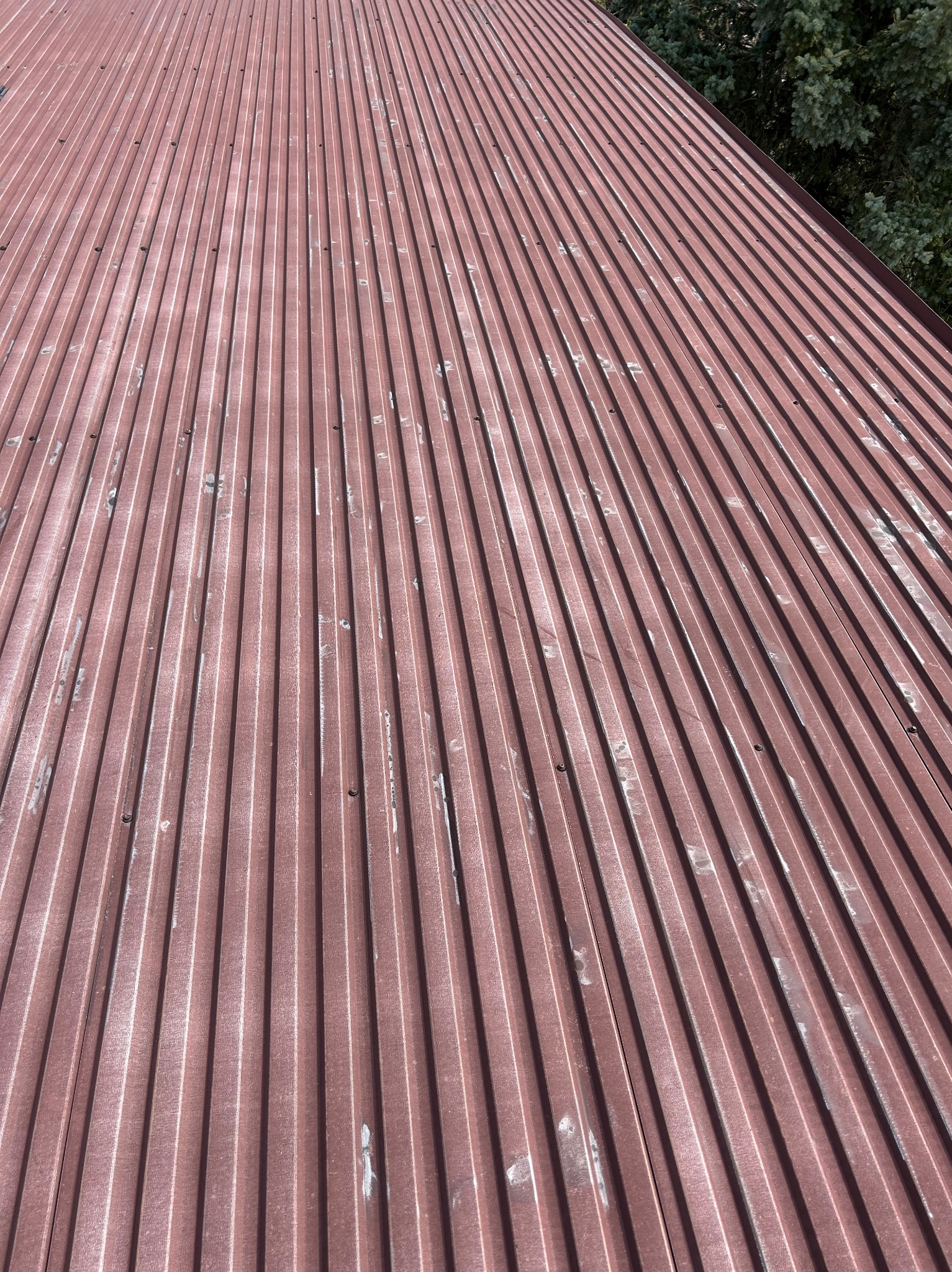 Czerwony, blaszany dach z widocznymi śladami zabrudzeń i miejscowymi odbarwieniami, sfotografowany pod kątem, z fragmentem drzewa w tle.