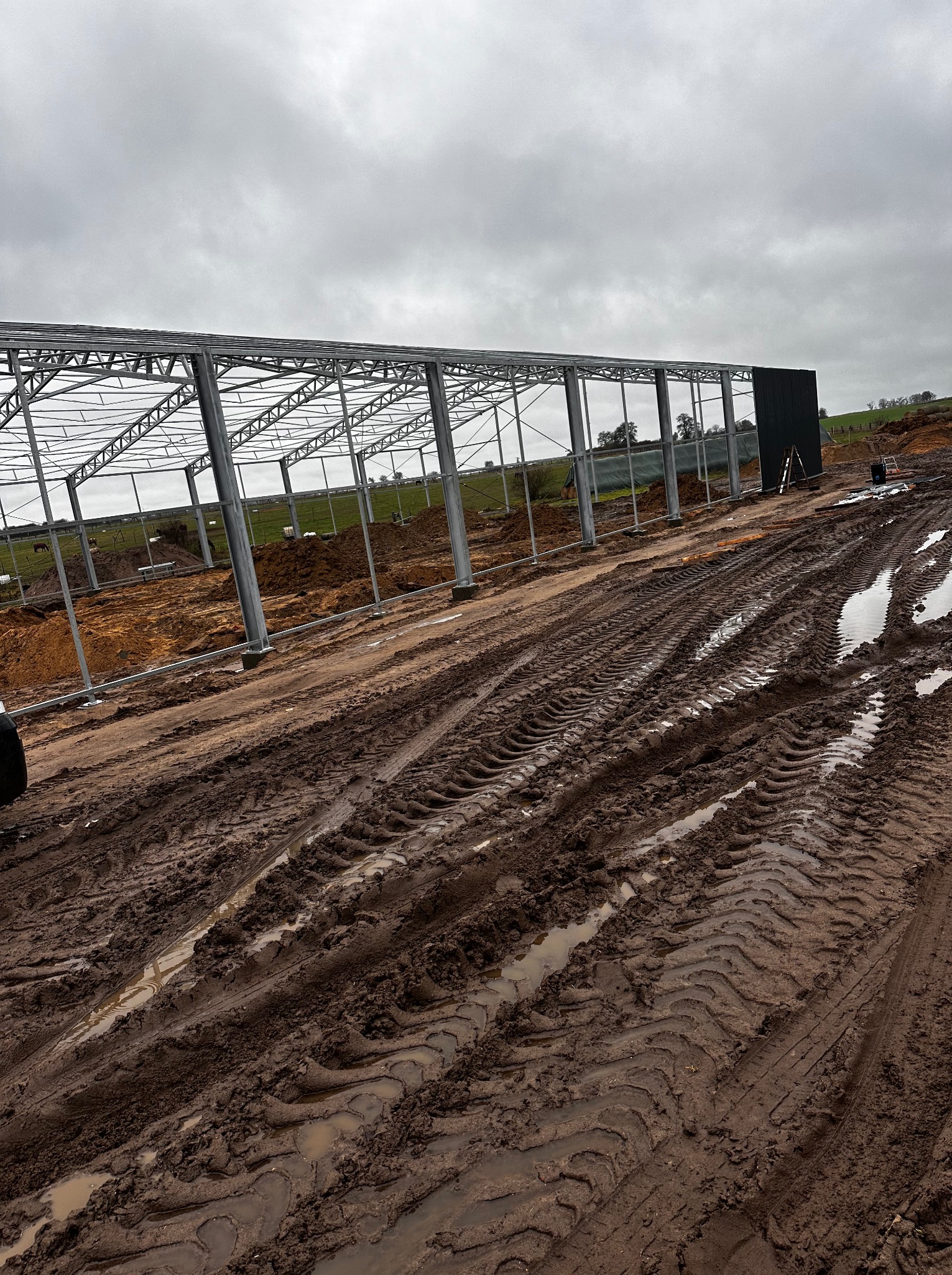 Stalowa konstrukcja hali w trakcie montażu, widoczne słupy i szkielet dachu na tle pochmurnego nieba, błotniste podłoże z wyraźnymi śladami opon maszyn budowlanych.