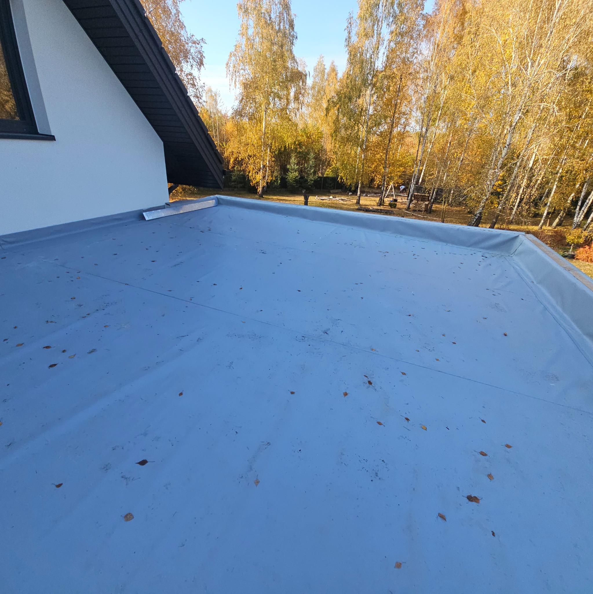 Płaski, szary dach pokryty papą termozgrzewalną, z widocznymi spadającymi liśćmi, na tle jesiennego lasu z brzozami